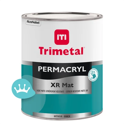 TR PERMACRYL XR MAT AC 930ML